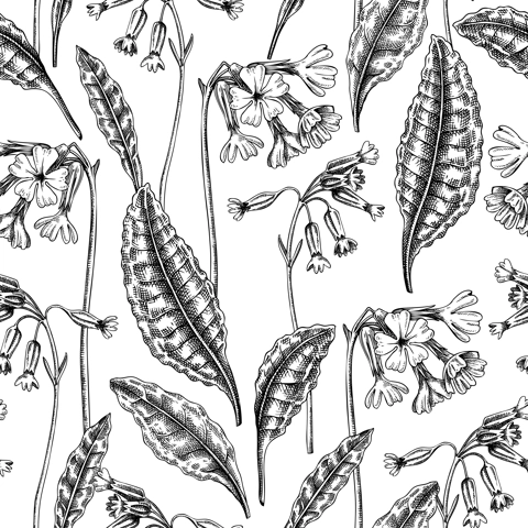 Hand-drawn cowslip and oxlip background design. Vintage woodland flowers sketches. Seamless spring pattern. Forest plant and wild flowers illustration for print. Vintage primrose decorative backdrop.